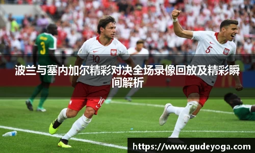 波兰与塞内加尔精彩对决全场录像回放及精彩瞬间解析